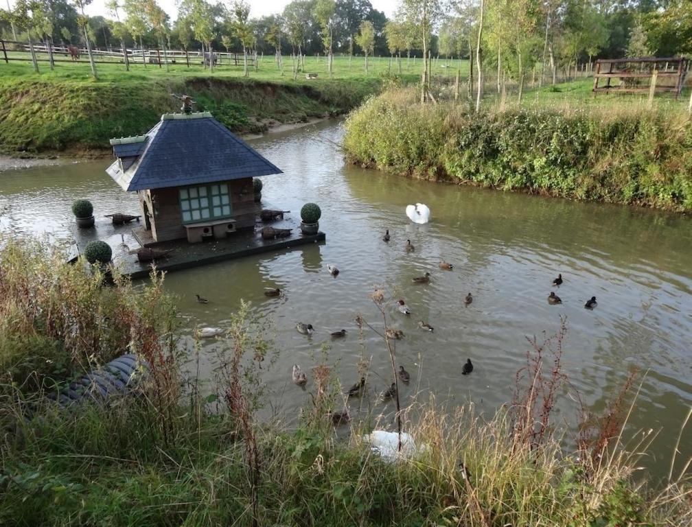 Ferme De Dauval Mandeville-en-Bessin Exterior foto